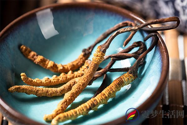 冬虫夏草有什么功效 冬虫夏草的功效与作用(图3)