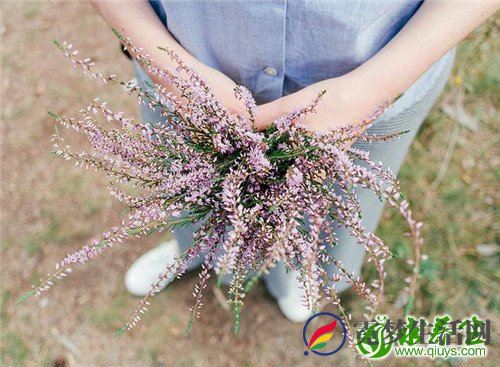 罗红霉素和头孢的差异 罗红霉素的禁忌
