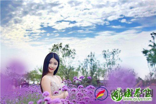 穿心莲怎么吃 穿心莲的食疗