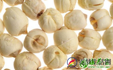 莲子的功效有哪些 吃莲子有什么好处 莲子要怎么吃好