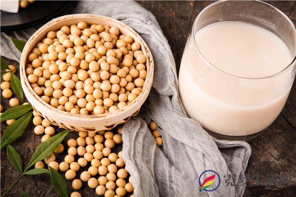 清肺吃什么食物 什么食物清肺(图2)