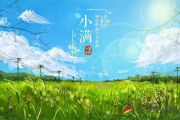 小满吃什么