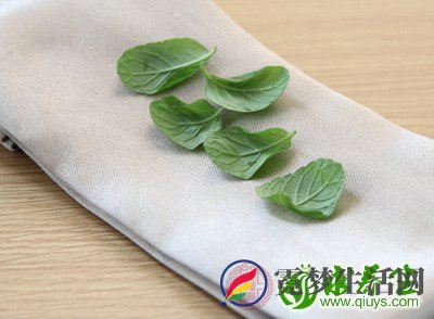 将薄荷叶洗干净之后 将薄荷叶洗干净之后