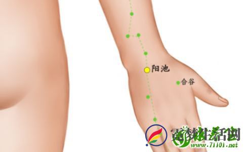 阳池 阳池的准确位置图 手脚冰凉怎么办