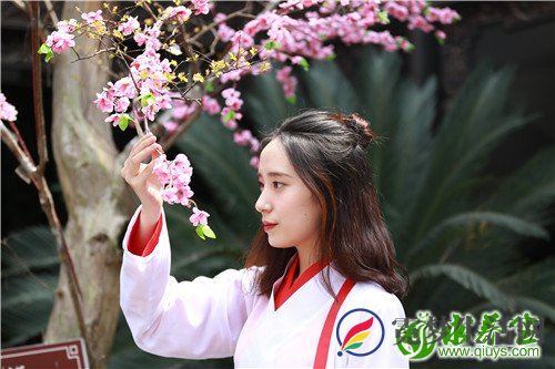 白芍有哪些食疗 教你白芍的做法