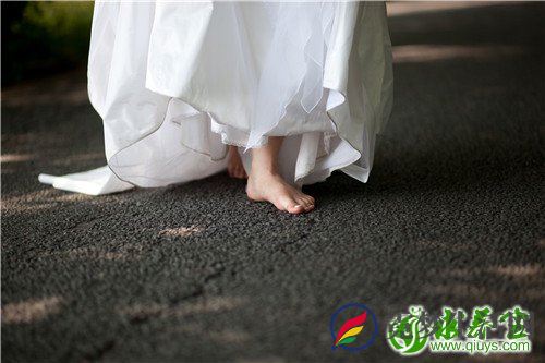 金银花是什么 金银花的形态