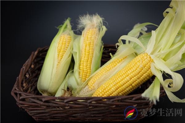 玉米的功效与作用 吃玉米有什么好处(图3)