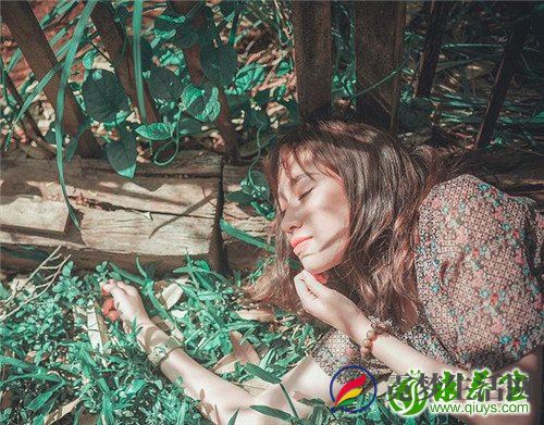 茵陈是什么 茵陈的副作用