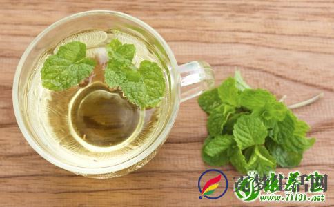 薄荷叶怎么泡水喝 给你介绍三种制作方法