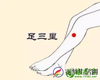 足三里穴的准确位置在哪里？按摩足三里穴的好