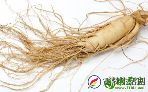 西洋参和人参有何差别 西洋参怎么吃效果好