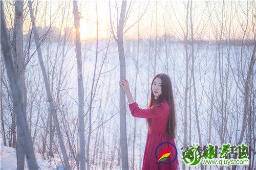 小柴胡颗粒功效是什么 小柴胡的功效