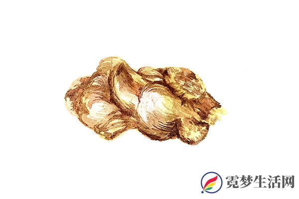 白术的功效与作用 白术的营养价值