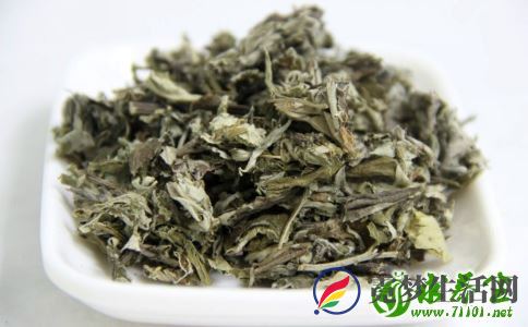 艾叶对荨麻疹有什么作用？艾叶使用的禁忌有哪