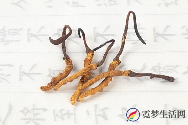 冬虫夏草有什么功效 冬虫夏草的功效与作用(图2)