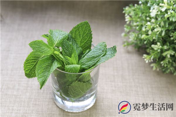 清肺吃什么食物 什么食物清肺(图3)